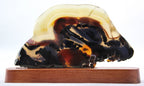Brazilian Agate Slice
