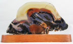 Brazilian Agate Slice