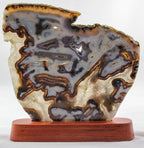 Brazilian Agate Slice