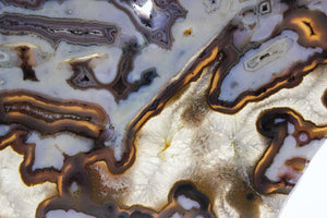 Brazilian Agate Slice