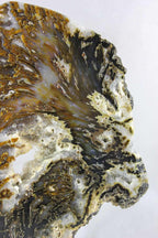 Brazilian Agate Slice