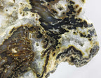Brazilian Agate Slice