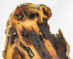 Brazilian Agate Slice
