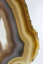 Brazilian Agate Slice