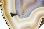 Brazilian Agate Slice