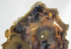 Brazilian Agate Slice