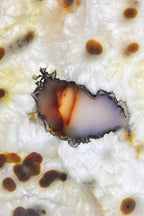 Brazilian Agate Slice