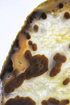Brazilian Agate Slice