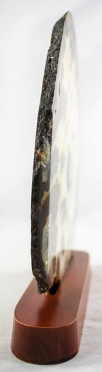 Brazilian Agate Slice