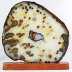 Brazilian Agate Slice