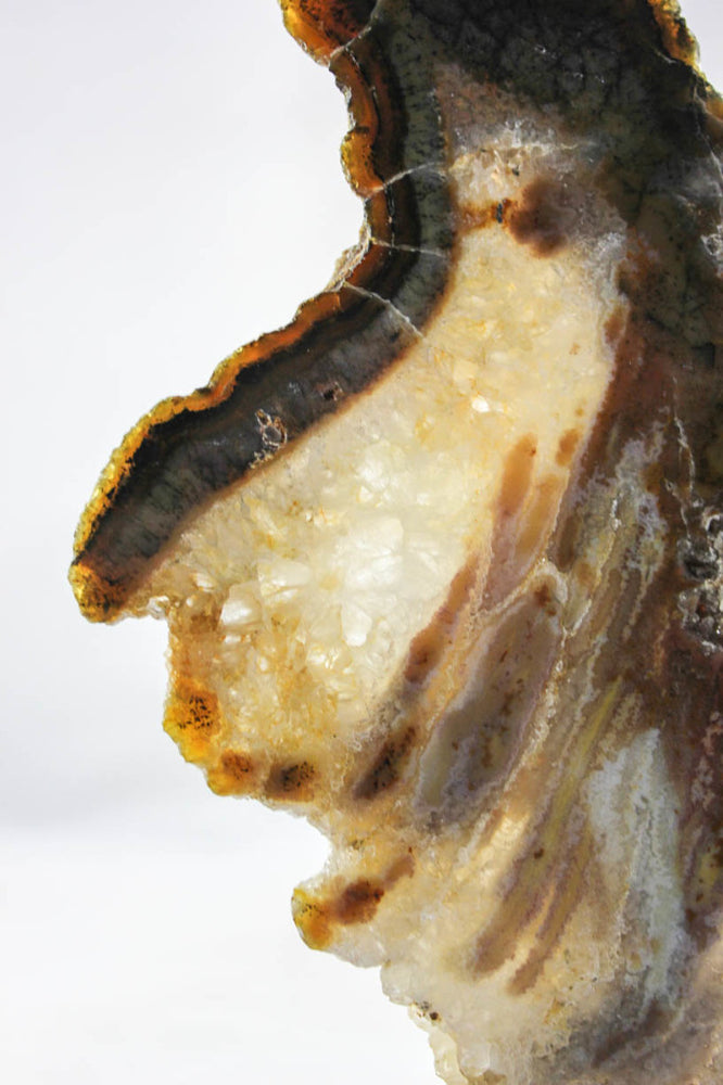 Brazilian Agate Slice