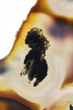 Brazilian Agate Slice