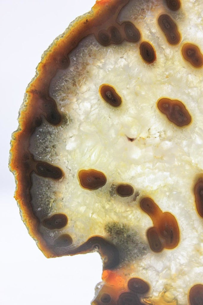 Brazilian Agate Slice