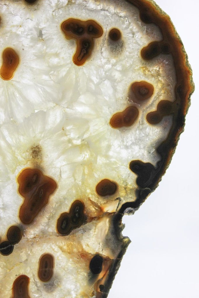 Brazilian Agate Slice