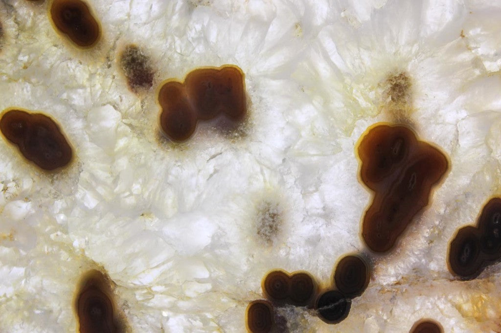 Brazilian Agate Slice