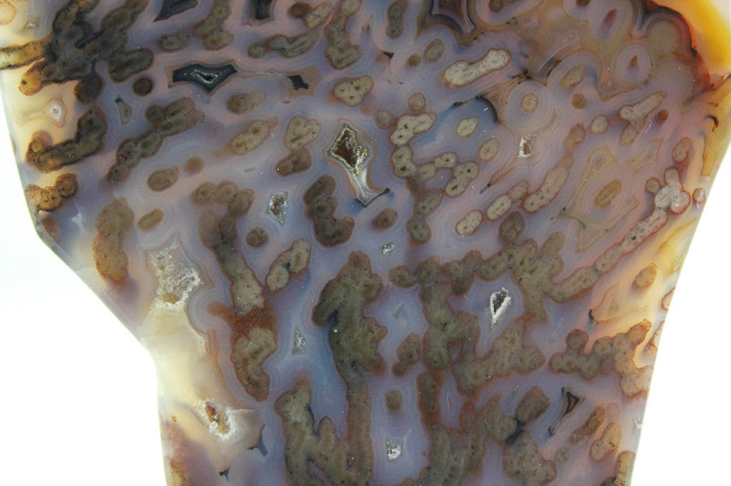 Brazilian Agate Slice