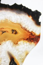 Brazilian Agate Slice