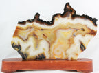 Brazilian Agate Slice
