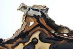 Brazilian Agate Slab