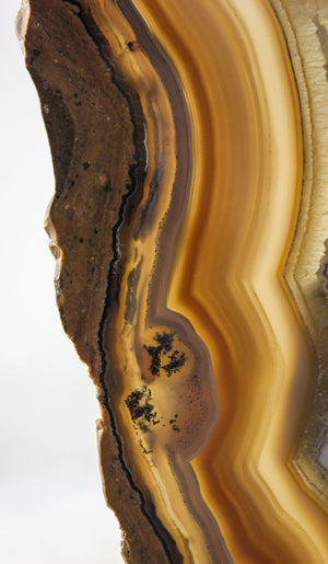 Brazilian Agate Slab