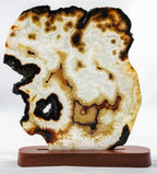 Brazilian Agate Slice
