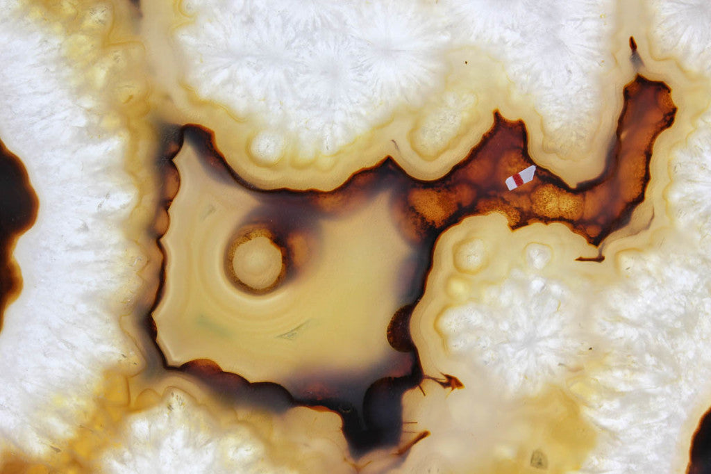 Brazilian Agate Slice