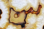 Brazilian Agate Slice
