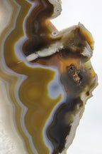 Brazilian Agate Slice
