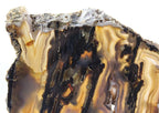 Brazilian Agate Slab