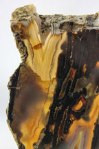 Brazilian Agate Slab