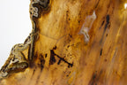 Brazilian Agate Slab