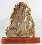 Brazilian Agate Slab