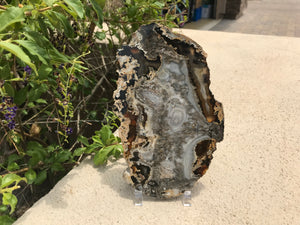 Contemporary Shades of Grey Agate Slice