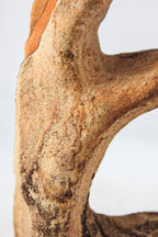 Utah Sandstone Sculpture