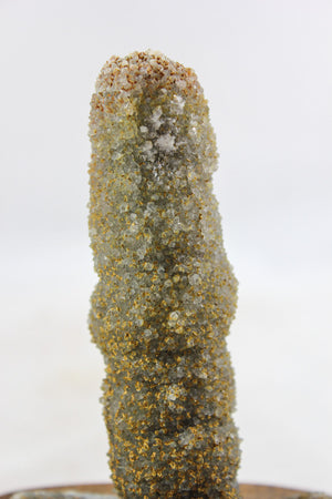 Brazilian Stalactite w/ Quartz