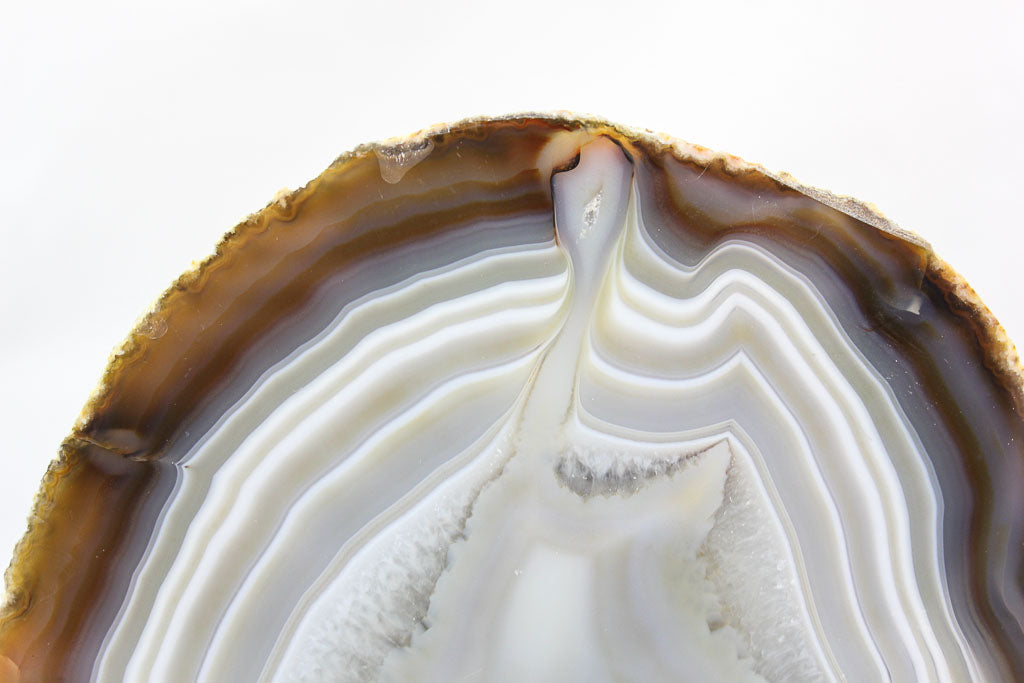 Brazilian Agate Endcap
