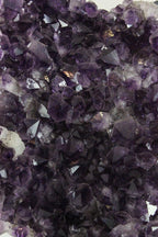 Uruguayan Amethyst Cluster