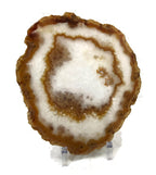 Crystal Agate Slice