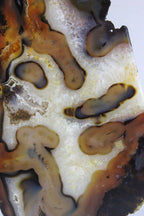 Brazilian Agate Slice