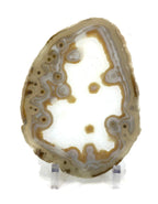 Eyed Agate Slice
