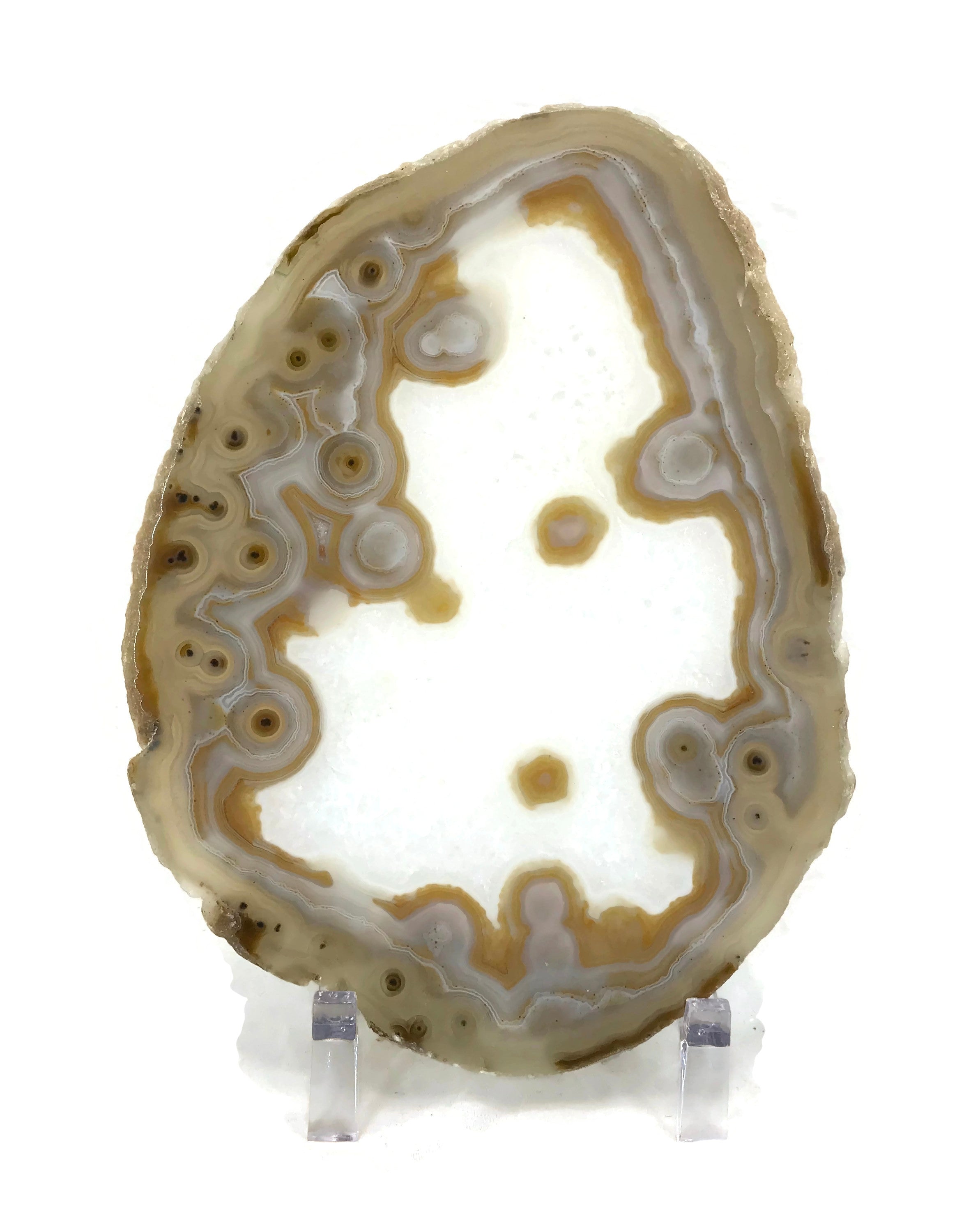 Eyed Agate Slice