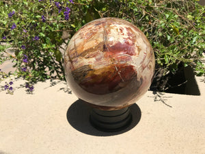 Magnifient Petrified Wood Sphere