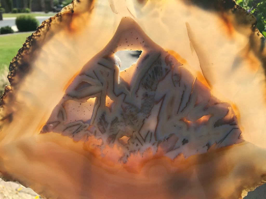 Patterned Agate Slice