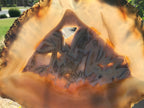 Patterned Agate Slice