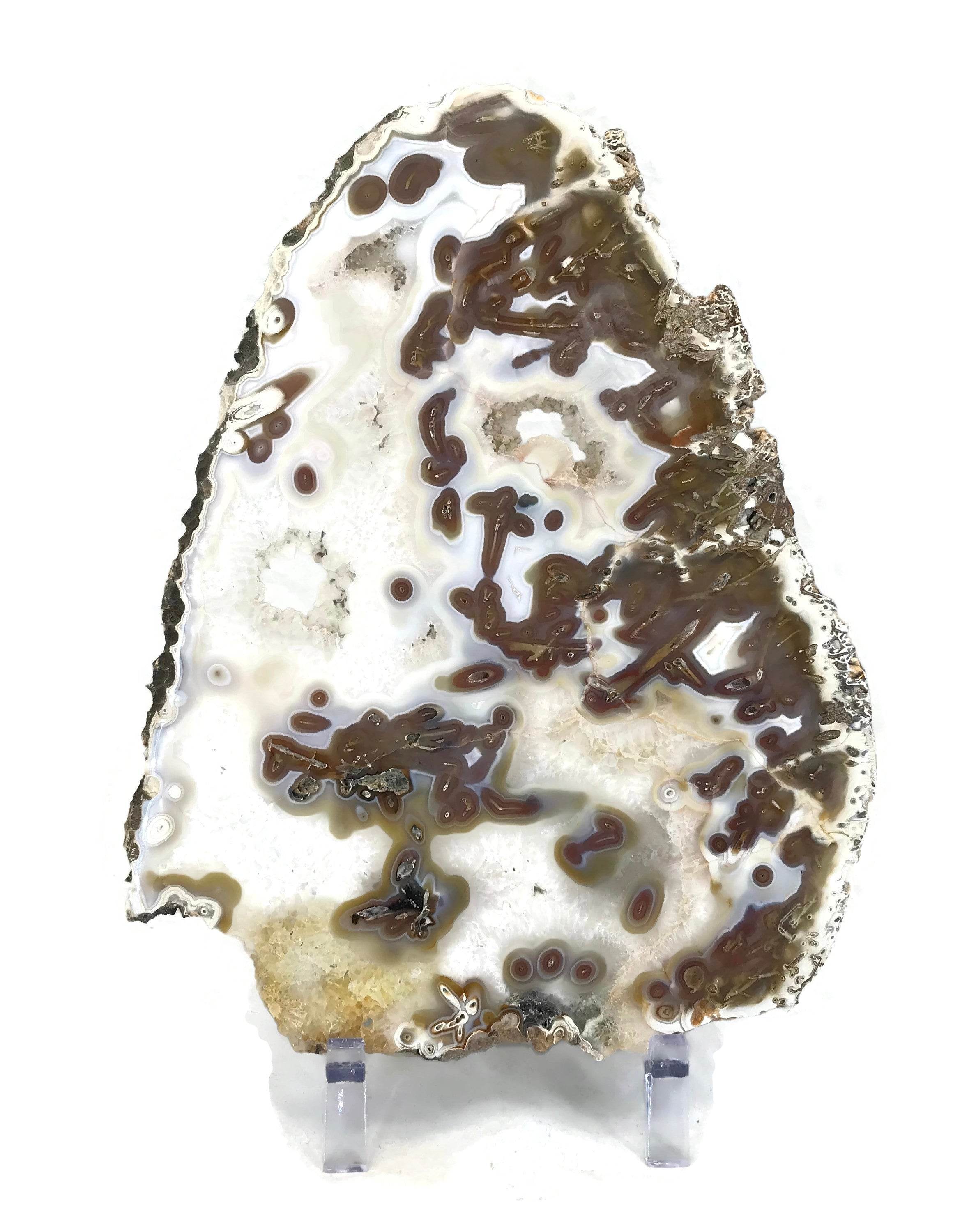 Night and Day Agate Slice