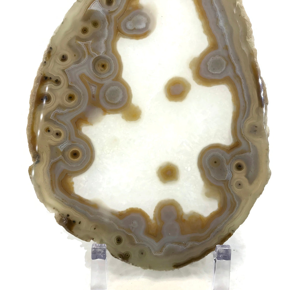 Eyed Agate Slice