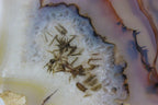Brazilian Agate Slice