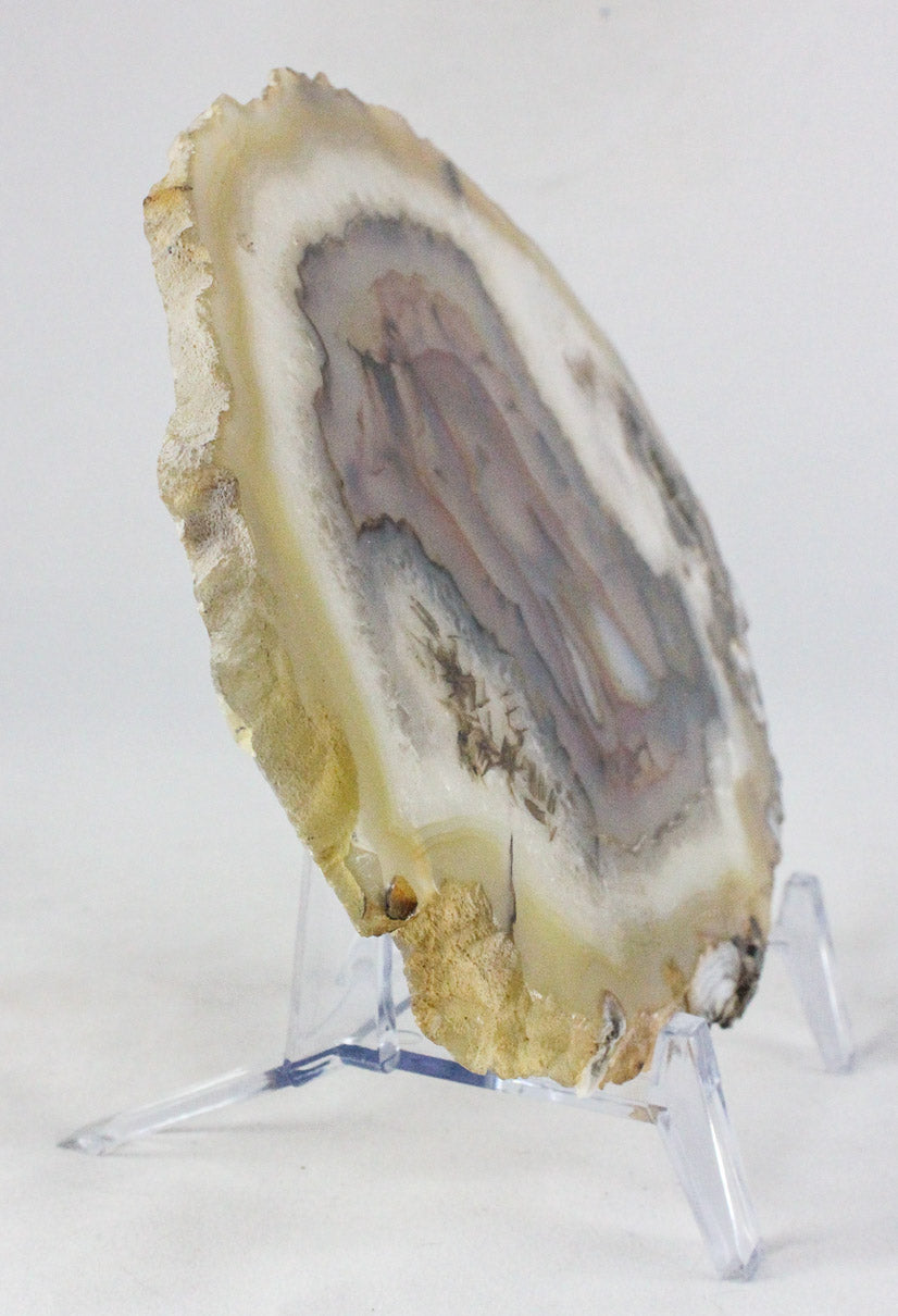 Brazilian Agate Slice
