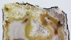 Brazilian Agate Slice