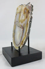 Brazilian Agate Slice